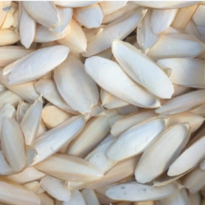 Mejore los entornos de sus mascotas con hueso de sepia Nuevos artículos 2024 hueso de sepia Perfecto para manualidades y cuidado de mascotas - Product Image 3