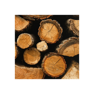 Madera de haya procesada, proveedor mayorista de madera a granel, exportación directa de fábrica, OEM - Product Image 4