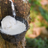 Latex centrifugé à haute teneur en ammoniac 60% DRC, fournisseur pour les usines de fil de latex