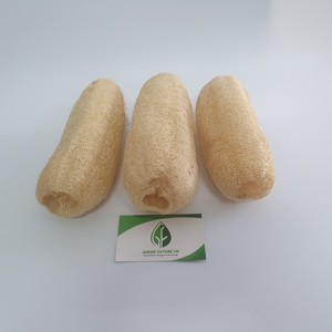 Esponja de Lufa 100% Vegetal de Vietnam – Exfoliante Corporal Biodegradable y Cepillo de Limpieza Natural Duradero - Product Image 6