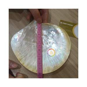 Fregona blanca con incrustaciones de conchas marinas, Vietnam, mejor precio, chapa de nácar para muebles, muestra gratis, alta calidad - Product Image 3