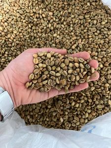 Green <b>Coffee</b> <b>Beans</b> Whole <b>Bean</b> Unroasted Natural Processing Type Common Variety Bulk Supply for Export and Retail - Product Image 1