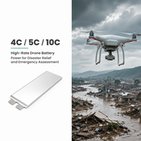 Batterie polymère lithium semi-solide 3,7 V 72 Ah NMC à cellule souple, haute décharge 4C/5C/10C, 350 Wh/kg pour véhicules électriques, drones et UAV