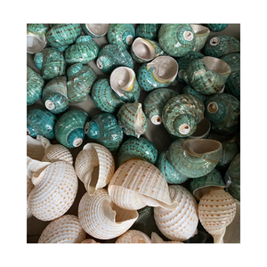 Exportation de 100% pendentif naturel coquillage océan spirale plage coquille fabricant au Vietnam - Product Image 2