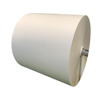Rouleaux de panneau duplex blanc PE personnalisés de 150 à 350g Matériau étanche anti-graisse pour tasse à café unique Boisson alimentaire