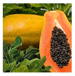 Papayas Frescas Orgánicas Tropicales de Grado A de Francia, 13 kg, para Smoothies y Postres - Product Image 6