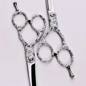 Ciseaux professionnels Eversharp personnalisables de 5,5 pouces pour la coiffure, en acier inoxydable japonais, à bord droit - Product Image 2