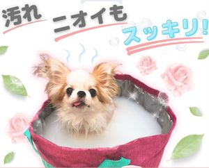 Aditivo de baño carbonatado Natural Premium para perros, aroma de rosa y bosque, 300g, experiencia de limpieza e hidratación mejorada para mascotas - Product Image 4