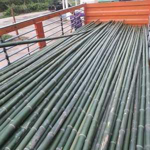 Pôles en bambou structurel en gros pour usage extérieur, traitement personnalisé, fabricant au Vietnam - Product Image 4