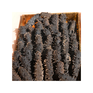 Chất lượng tốt giá rẻ giá khô dưa chuột biển cho xuất khẩu - Product Image 3