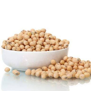 Graine de soja pour l'exportation d'aliments pour animaux - Product Image 5