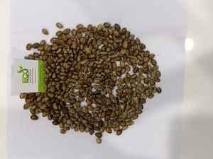 Huile de graines ricinus communicis - Product Image 5