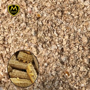 ซังข้าวโพดบดสำหรับเพาะเห็ด1-10มม - Product Image 1