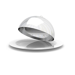 Plat de service en acier inoxydable poli, conçu pour un usage domestique et en restauration, avec une finition élégante et une construction robuste - Product Image 3