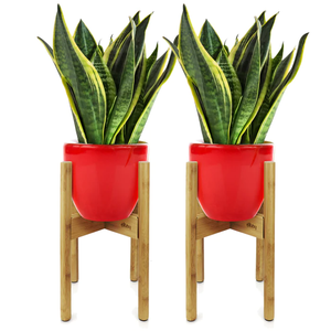 Designer <b>Wooden</b> <b>Planter</b> Rack Best Quality Room Decorative at Affordable Cost Wood <b>Planter</b> Stand Hot Selling - Product Image 3