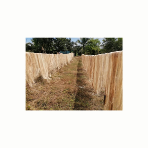 Fibra de plátano natural de peso ligero que se usa para hacer ropa y textiles Vietnam - Product Image 6