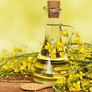 Venta al por mayor de aceite de colza refinado puro y saludable para restaurantes y la industria alimentaria, suministro de aceite vegetal comestible Premium para cocinar - Product Image 4