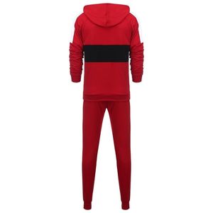 Pantalon à capuche zippé 100% coton pour hommes, 2 pièces, ensemble de loisirs et fitness, plus la taille, imprimé, pour le printemps et l'automne - Product Image 1