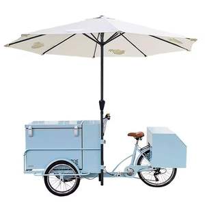Tricycle frigorifique mexicain à 3 roues pour l'extérieur avec énergie solaire, marque personnalisable, conduite électrique, carrosserie ouverte pour le fret - Product Image 2