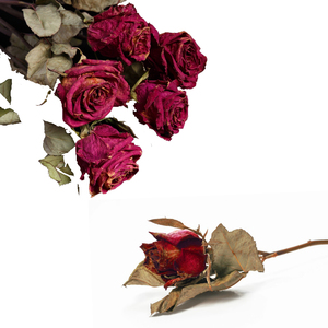 Pétales de rose biologiques séchés comestibles en vrac pour le thé, fleurs naturelles séchées, qualité export, pétales de rose respirants, idéal pour les cadeaux - Product Image 2