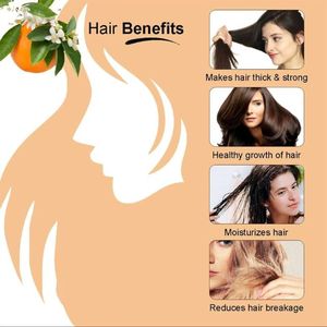 Orange douce 15ml bio huile essentielle aromathérapie diffuseur soins de la peau cheveux parfum en gros en vrac bon prix - Product Image 3