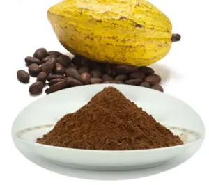 Poudre de cacao de haute qualité provenant de l'inde pour les Desserts, les confiserie et les pâtisseries