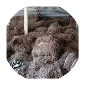 LEADING EXPORT PRODUCT <b>GRASS</b> JELLY FROM VIETNAMESE SUPPLIER - Product Image 1