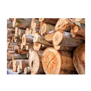Eucalyptus Wood Round <b>Logs</b> for Landscaping - Garden, Mulch, and Decorative - Product Image 2