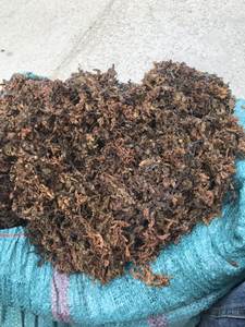 ขายร้อน SARGASSUM สาหร่ายแห้งสำหรับอาหารสัตว์เวียดนาม - Product Image 3