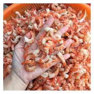 Crevettes séchées du Vietnam de qualité supérieure séchées au soleil pour bébés crevettes naturelles pour les acheteurs mondiaux en grande quantité et emballage propre - Product Image 5