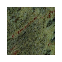 Nouvelle conception luxueuse de la meilleure qualité Densité 2cm 70ups x 240ups Tuile tropicale de granit de pierre de marbre d'or d'Inde