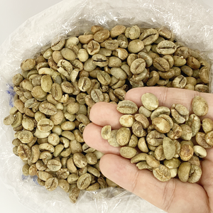 Pantalla con certificación orgánica de café Robusta de Vietnam 18 + granjas de gran altitud superventas OEM/ODM listo - Product Image 5