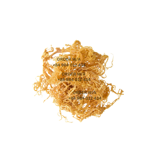 Musgo de mar puro dorado irlandés sin cafeína, sin azúcar, sin gluten, Vegano, rico en minerales, musgo de mar dorado - Product Image 1