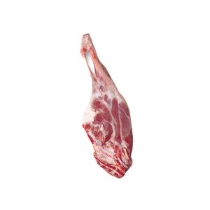 Pata de Res Congelada, Certificada Halal, Corte Entero, Ideal para Cadenas de Comercio Minorista y Fábricas de Procesamiento de Alimentos - Product Image 5