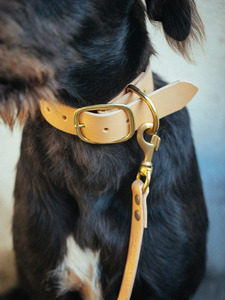 Conjunto de Collar y correa para perro, 38mm de ancho, Natural - Product Image 3
