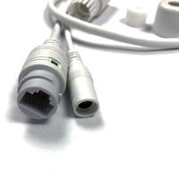 Cable de Red RJ45+DC con Conector Impermeable, Cable para Cámara de Seguridad CCTV, Cable para Placa PCB de Cámara IP, Módulo de Cámara IP AR-W