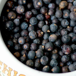 Best selling 100% natural whole juniper berries new season harvest offered in bulk with customized label service - Product Image 2