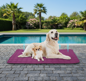 Wholesale <b>Pet</b> <b>Cooling</b> <b>Mat</b> for Dogs and Cats-Non-Toxic Self-<b>Cooling</b> with Pressure Relief - Product Image 4