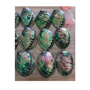 เปลือกหอยเป๋าฮื้อที่ทำจากวัสดุเปลือกทะเลธรรมชาติเหมาะสำหรับเครื่องประดับทำด้วยมือและการตกแต่งงานศิลปะผลิตในเวียดนาม - Product Image 2