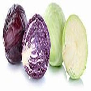 COMPRE Verduras crucíferas Repollo fresco para uso culinario e industrial a precios a granel - Product Image 4