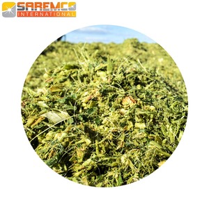 Ensilage de maïs fermenté Ensilage de maïs de haute qualité pour la santé et la croissance du bétail Balles d'ensilage de maïs pour une durée de conservation prolongée - Product Image 3