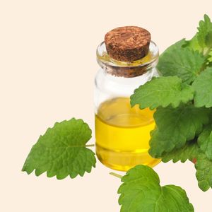 Huile de massage infusée aux feuilles de menthe poivrée |   pour les soins corporels thérapeutiques |   Approvisionnement en gros - Product Image 2