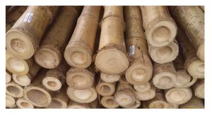 เสาไม้ไผ่คุณภาพสูงทนทานจากเวียดนามราคาถูกที่สุดสําหรับการเกษตร / อาคาร - Product Image 3