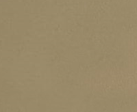 Couleur Tan
