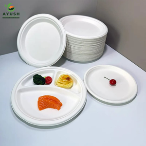 Assiettes en papier de 12 pouces pour restaurant, fabriquées à partir de pulpe de canne à sucre, pour buffets et plats à emporter - Product Image 3