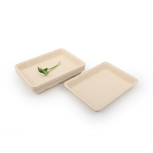 Biodegradable eco friendly Disposable outdoor dinnerware plats birthday party rectangle square paper plates