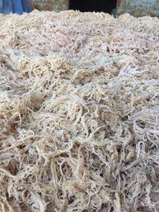 Algas Eucheuma Cottonii moradas Vietnam Material marino ecológico Algas Eucheuma Cottonii moradas Suministro de exportación al por mayor - Product Image 5