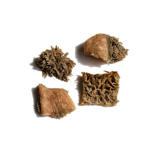 Raw Green <b>Beef</b> Tripe in Large Quantities Available at Discounted Rates for Wholesale Buyers - Product Image 6