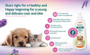 แชมพูและครีมนวดสำหรับลูกสุนัข ฮิมาลายา เอริน่า สูตรอ่อนโยนด้วยสมุนไพร ทำความสะอาดผิว บำรุงขนนุ่มเงางาม - Product Image 3