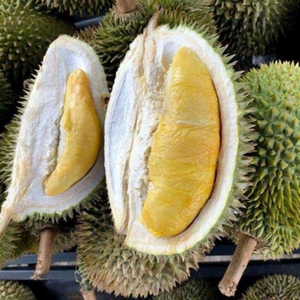 FRUTA DURIAN NATURAL DULCE CONGELADA DE VIETNAM | SUMINISTRO DE EXPORTACIÓN A GRANEL - Product Image 6